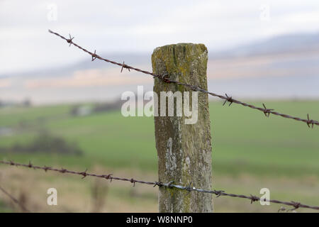Broken rusted barbed wire on wooden post, close up Stock Photo