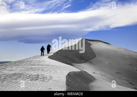 WA17216-00....WASHINGTON - Sand dune in the Hanford Reach National Monument. Stock Photo