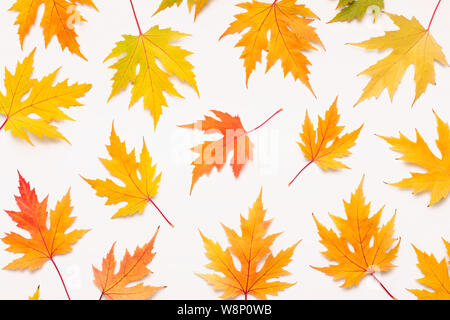 Autumn background with orange and yellow maple fallen leaves Stock Photo