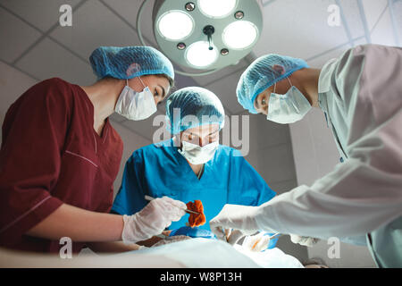 Group of surgeons at work operating in surgical theatre. Resuscitation medicine team wearing protective masks Stock Photo