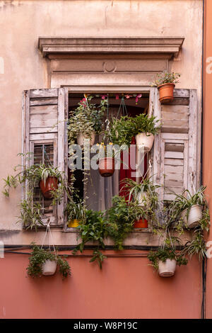 Window with shutters and plants, Split, Croatia Stock Photo