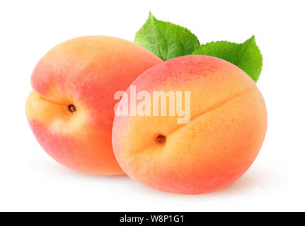 Isolated fruits. Two fresh apricots over white background with clipping path Stock Photo