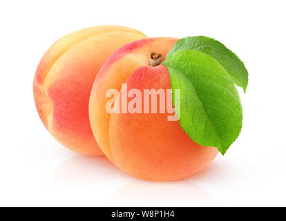 Isolated apricots. Pair of fresh apricot fruits with leaf isolated on white background with clipping path Stock Photo