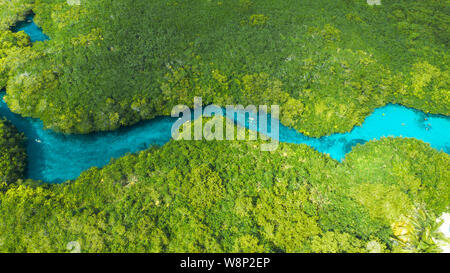 Aerial view of Casa Cenote in Tulum, Quintana Roo, Mexico Stock Photo