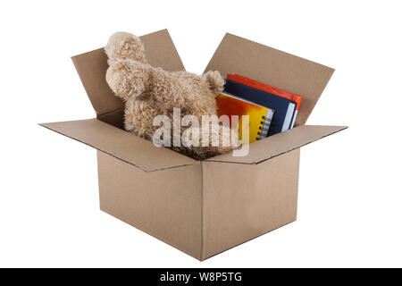 Teddy Bear in cardboard box isolated on white background Stock Photo