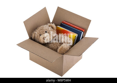 Teddy Bear in cardboard box isolated on white background Stock Photo