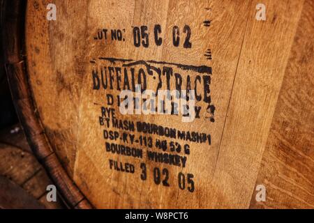 Whiskey maturing in Buffalo Trace bourbon barrels Stock Photo