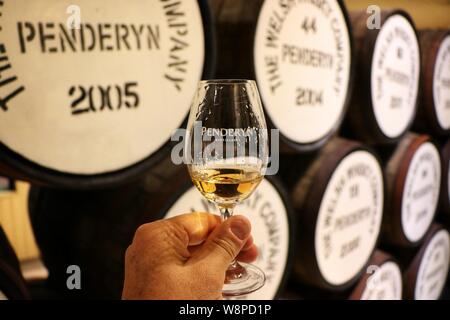 A male hand holds a whisky tasting glass in front of Penderyn whisky maturing in Bourbon barrels, Penderyn Distillery, Wales, UK Stock Photo