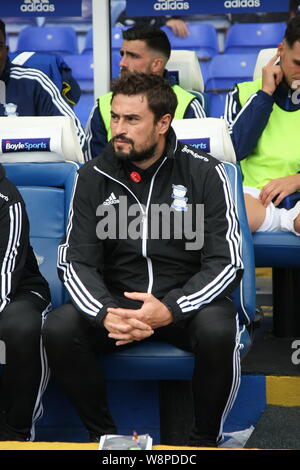 Birmingham, West Midlands, UK. 10th August, 2019. Birmingham City Manager Pep Clotet ahead of the Championship fixture between Birmingham and Bristol City in the EFL Championship. Stock Photo