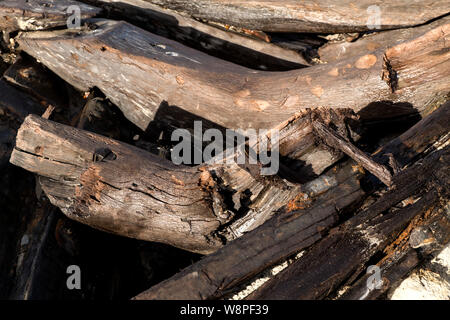 Oak frame timber with a wooden rivet in the large 500 years old ship wreck which has just been excavated at a building site near Koege, Denmark. For further information, se additional information. (Photo by Ole Jensen/Alamy) Stock Photo