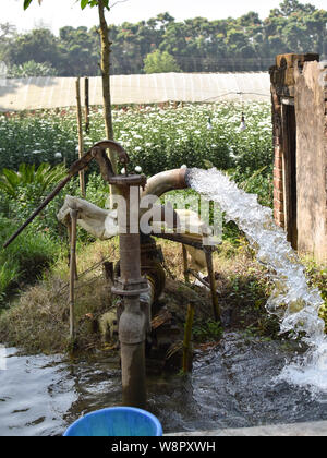 Farmer pump water to rice field for crop paddy plantation with ...