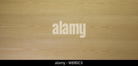 Light natural oak wooden panel background texture in a full frame panorama view for interior decor and building Stock Photo