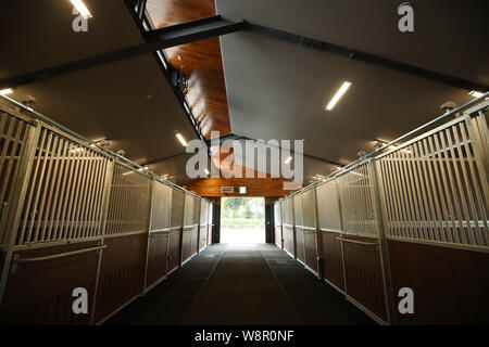 Tokyo, Japan. 11th Aug, 2019. General view Equestrian : READY STEADY TOKYO - Equestrian at Equestrian Park (Baji Koen) in Tokyo, Japan . Credit: Yohei Osada/AFLO SPORT/Alamy Live News Stock Photo