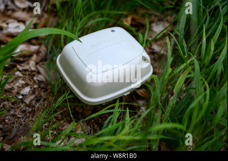 Wittmar, Germany. 08th Aug, 2019. A seismographic sensor used to measure the soil structure around the Asse 2 repository is stuck in the soil. Around 6500 explosive charges are to be distributed in the forest. 45,000 seismographic sensors will then be distributed on the site to record the vibrations of the explosions. Credit: Christophe Gateau/dpa/Alamy Live News Stock Photo