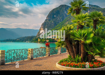 Summer holiday destination, amazing walkway with colorful flowers in public park and palm trees on the shore, Lake Como, Menaggio, Lombardy region, No Stock Photo