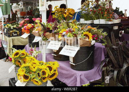 Bouquets of fresh cut sunflowers on display at a farmers market in Boulder, Colorado Stock Photo