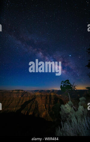 The night sky and Milky Way over Point Sublime on the North Rim of the Grand Canyon, Arizona Stock Photo