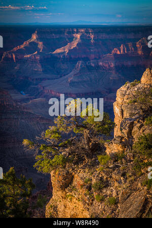 Point Sublime on the North Rim of the Grand Canyon National Park in Arizona, United States Stock Photo