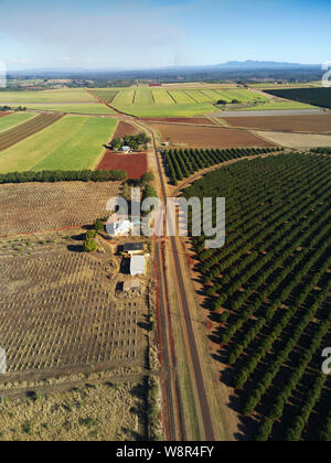 Aerial of the macadamia nut tree plantations that now cover what was till recently sugar cane farmland near Childers Queensland Australia Stock Photo