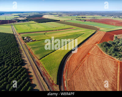 Aerial of farmhouse surrounded by sugar cane and macadamia nut tree plantations near Childers Queensland Australia Stock Photo