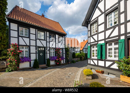 Germany, North Rhine-Westphalia, NRW, Westphalia, Ruhr area, D-Herten, D-Herten-Westerholt, Old Village Westerholt, Alte Freiheit Westerholt, half-timbered houses at the Martini Street, flowers, green window shutters Stock Photo