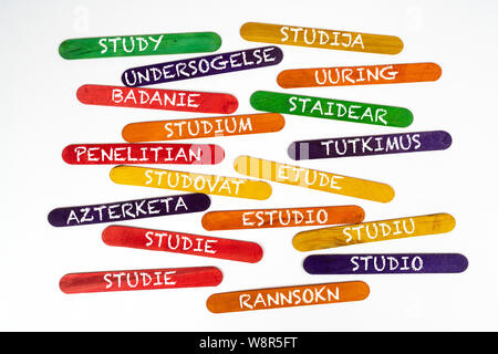 the concept of the word study in various languages on wooden coloured slats Stock Photo
