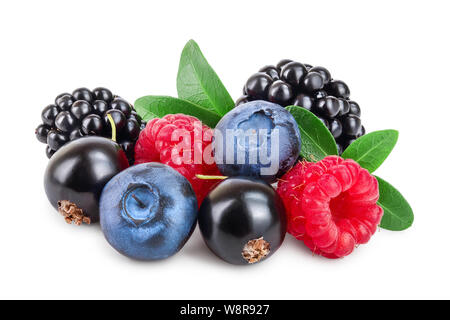 mix of blackberry blueberry raspberry black currant with leaf isolated on white background. Stock Photo