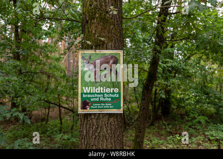 Moehrendorf, Germany - August 9, 2019: View of a sign with the inscription "Wild animals need protection and peace. Leash your dogs." Stock Photo