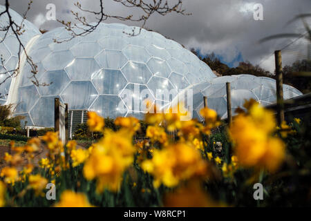 A view of the domes and biomes at the Eden Project in Cornwall, England