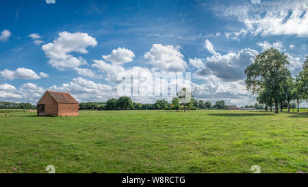 Field with dandelions and blue sky Stock Photo - Alamy