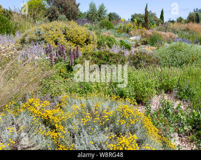 Royal Horticultural Society gardens at Hyde Hall, Essex, England, UK dry garden Stock Photo