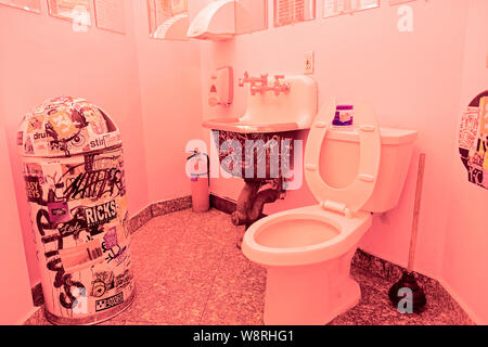 A unisex bathroom lit by red bulbs at McNally Jackson Books on Prince Street in the Soho section of Lower Manhattan, New York City. Stock Photo