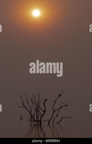 Red African Sun setting over Lake Kariba, Zimbabwe Stock Photo