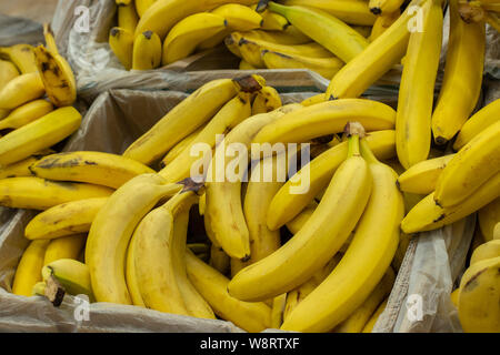 Yellow bananas in the boxes in the supermarket. Exotic fruit in the supermarket, a bunch of banana packed in plastic and cardboard box. Background Wal Stock Photo