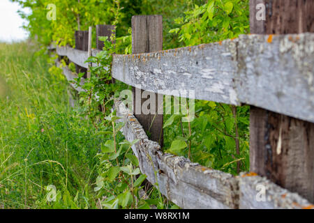 Old wooden rural fence, untreated wood with traces of aging fungus and moss. Wattle fence wooden planks. Old wooden fence with rusty nails Stock Photo