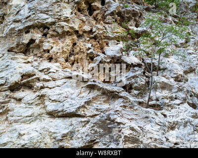 Surface of rocky mountains, Texture background Stock Photo