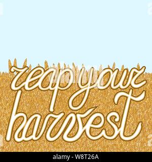 abstract vector cartoon doodle wheat background with lettering reap your harvest Stock Vector
