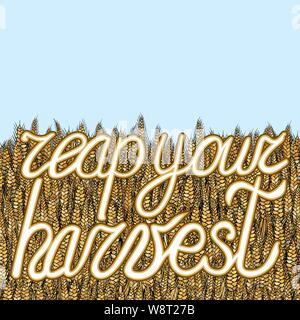abstract vector cartoon doodle wheat background with lettering reap your harvest Stock Vector