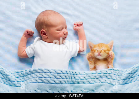 Baby sleeping with kitten on blue knitted blanket. Child and cat. Kids and pets. Newborn kid with his animal. Little infant with pet. Children play wi Stock Photo