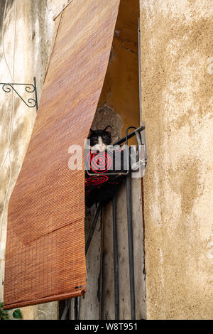 Sleepy cat on a shaded house balcony in French village Stock Photo