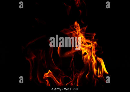 Fire flames on a black background abstract. Stock Photo