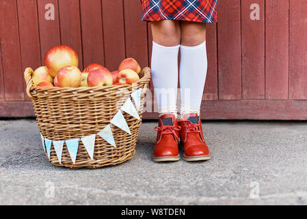 Cute girl with basket of red apples on wood background. Portrait of beautiful Schoolgirl. Farewell Bell. day of knowledge. beginning of school year. h Stock Photo