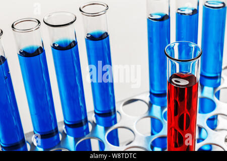 Laboratory test tubes on a rack with blue and red liquid. Chemical, Science, Equipment. Stock Photo