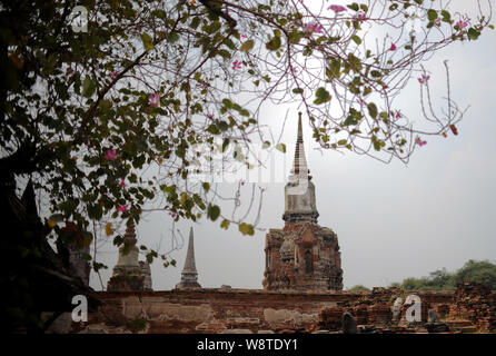 15 March 2017, Thailand, Ayutthaya: Temple ruins in the Ayutthaya History Park. The former capital of the Kingdom of Siam, today a ruined site, has been a UNESCO World Heritage Site since 1991. Photo: Britta Pedersen/dpa-Zentralbild/ZB Stock Photo