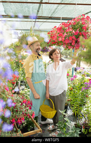Two contemporary flower vendors looking at new sorts of petunia in pots Stock Photo