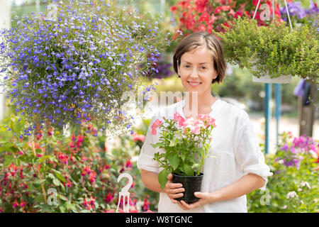 Pretty female garden center staff with bunch of petunias in hands Stock Photo