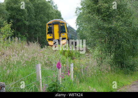 ScotRail train Kyle of Lochalsh to Inverness at Gorstan near Garve. Stock Photo