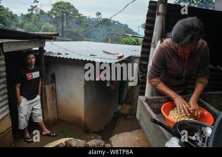 August 8, 2019, La Reforma, San Marcos, Guatemala: Eight days after being deported from the U.S., Lisardo Perez stands by the kitchen watching his mother Elida Esperanza wash nixtamal â€” cooked cornâ€” early in the morning at their house in the Canton La Palma neighborhood, in La Reforma, Guatemala.Â After 8 years of falling coffee prices, 4 off a steady job from his father, and 3 years watching his younger brother Edgar Giovani suffer a debilitatingÂ illness that left the family in medical debt, they put all their hope in Lisardoâ€” taking an $8000 loan against their house to pay a smuggler Stock Photo