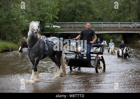 Romani Gypsy travellers meet up for an annual get together in the New Forest. Travelling Community Cart racers at Brockenhurst, Hampshire, England, UK Stock Photo