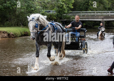 Romani Gypsy travellers meet up for an annual get together in the New Forest. Travelling Community Cart racers at Brockenhurst, Hampshire, England, UK Stock Photo